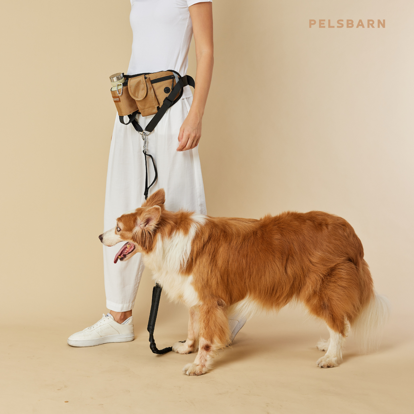 All-in-One Walking Bag | Dog Walking Bag – Hands-Free Convenience