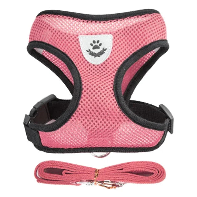 Adjustable Mesh Cat & Small Dog Harness Vest with Walking Leash