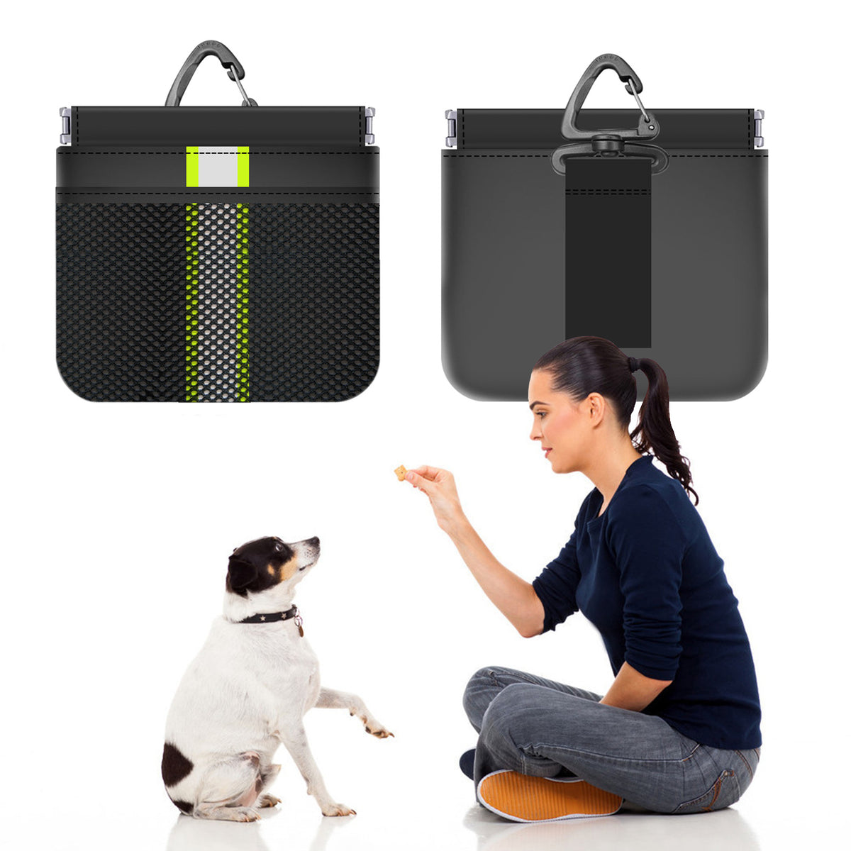 Pet Treat Bag