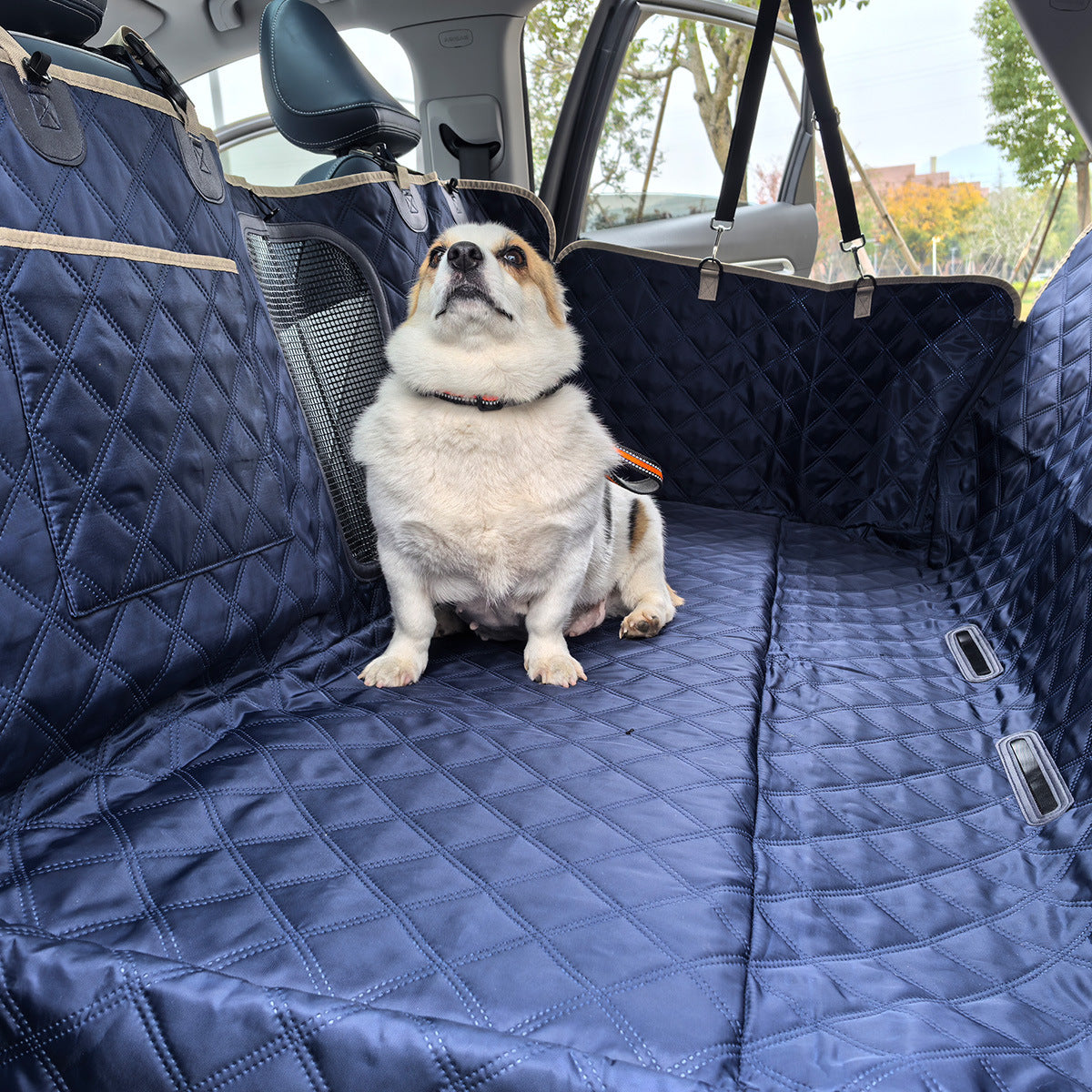Car Waterproof Pet Mat