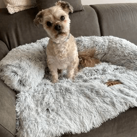 Calming Couch Bed | Dog Sofa Protector – Deep Rest & Calming Bed
