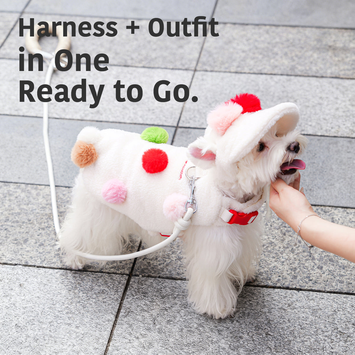 Dog Harness Vest