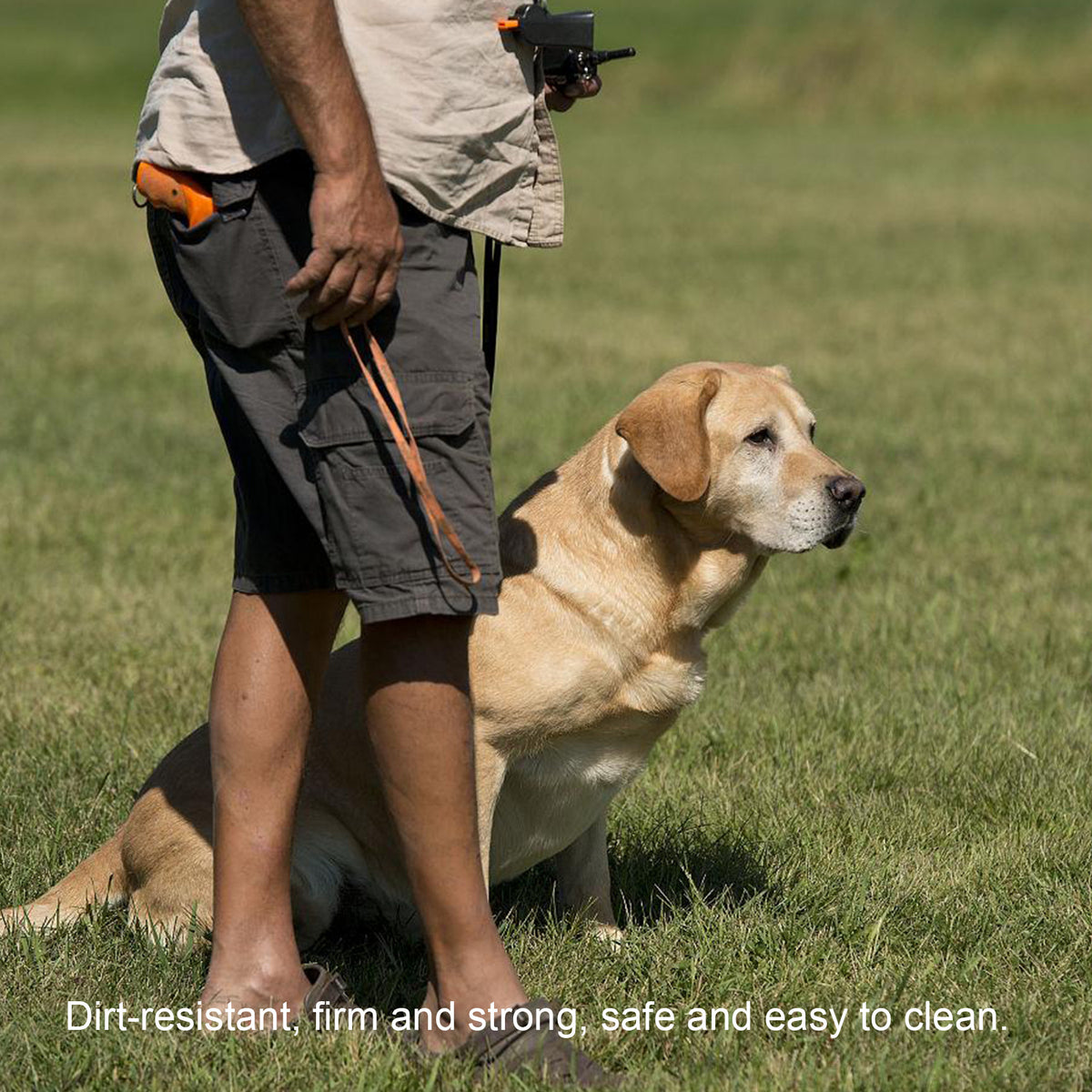 Pet Treat Bag