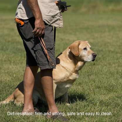 Pet Treat Bag