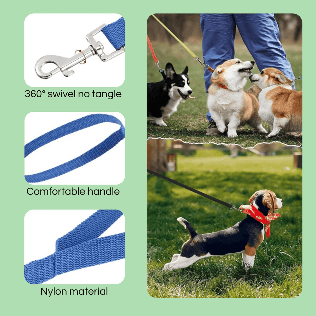 10M Training Line for Dogs | Extra Long Nylon Leash for Walking & Recall