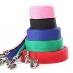 10M Training Line for Dogs | Extra Long Nylon Leash for Walking & Recall