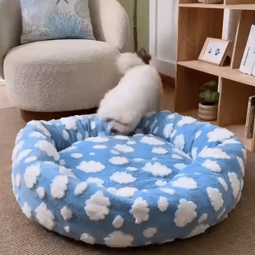 Calming Donut Cat Bed | Soft Plush Bed for Cats and Small Dogs