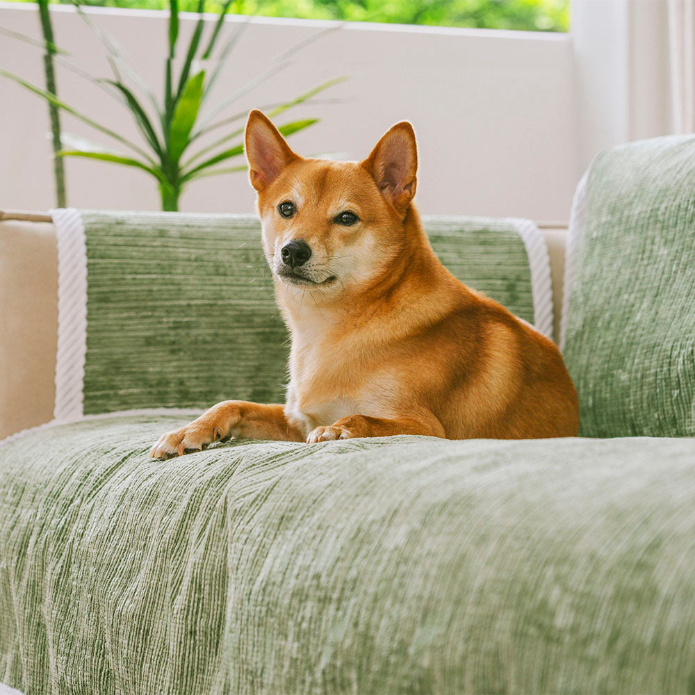 All-Season Anti-Slip Striped Pet Rug with Armrest — Furniture Protector & Outdoor Couch Cover to Keep Pets Calm and Still