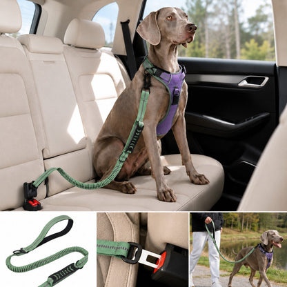 Dog Seat Belt Leash for Car, Reflective Bungee Tether