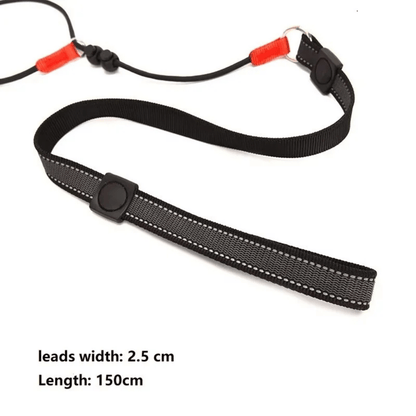 2-in-1 Slip Leash and Collar | Adjustable Training Lead for Dogs