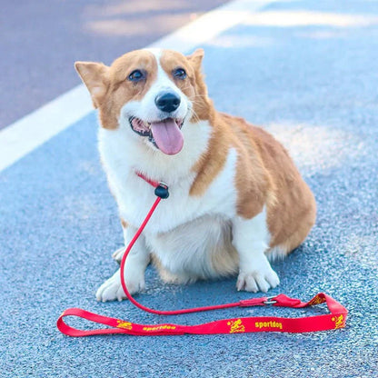 2-in-1 Slip Leash and Collar | Adjustable Training Lead for Dogs