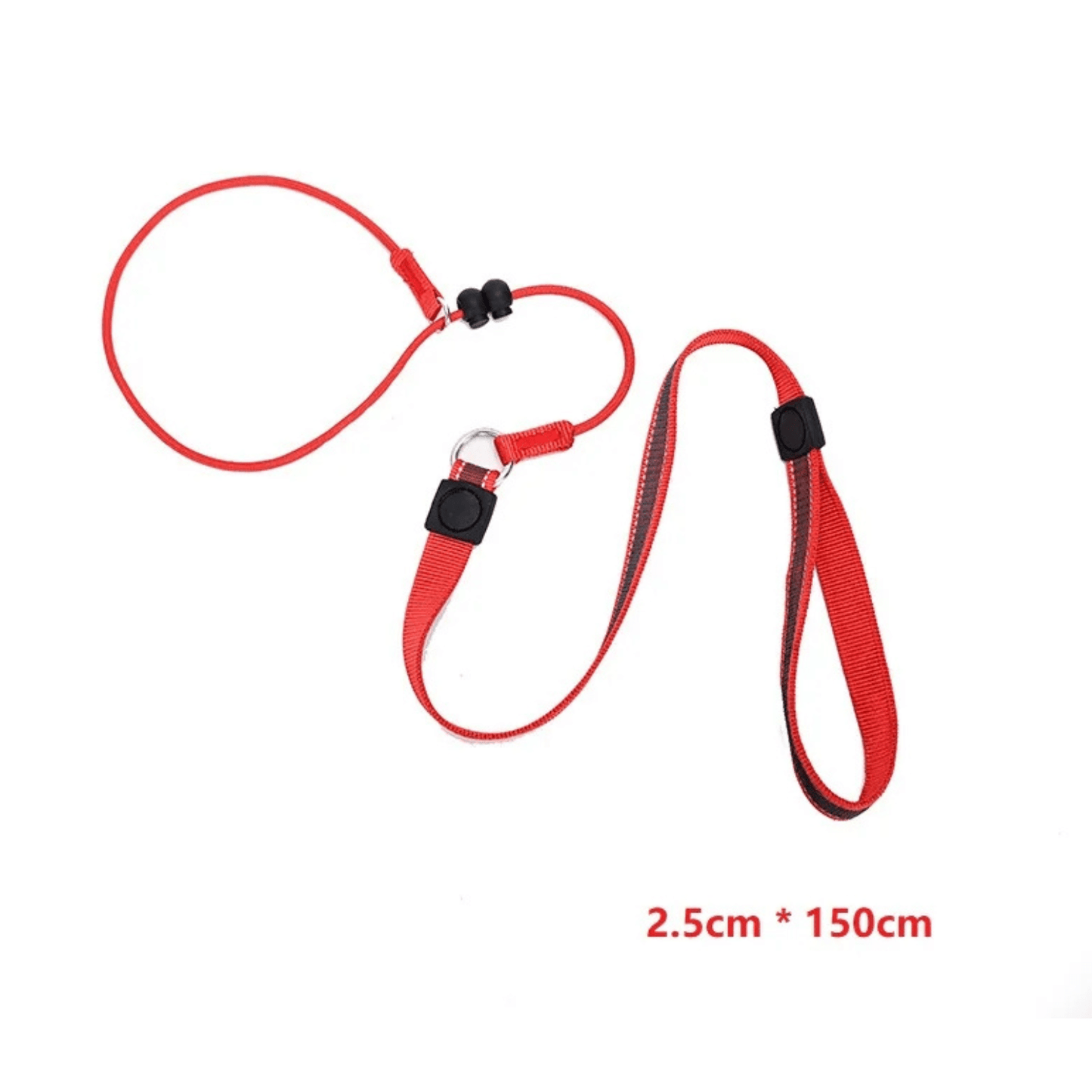 2-in-1 Slip Leash and Collar | Adjustable Training Lead for Dogs