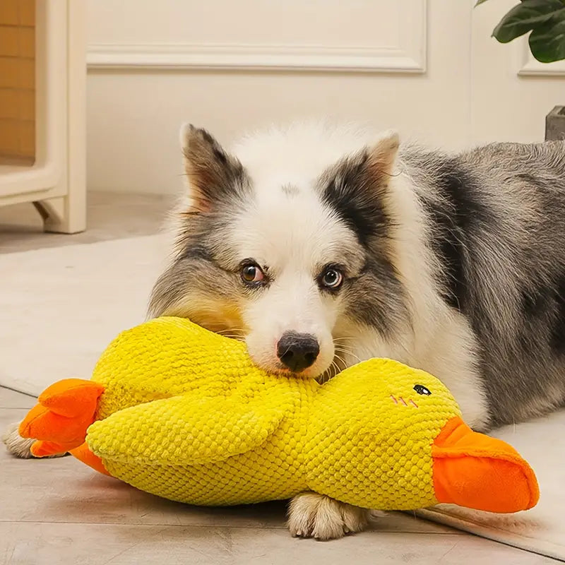 Calming Duck Toy | Durable Dog Chew – Anxiety Relief & Enrichment