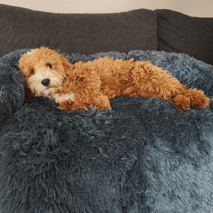 Calming Couch Bed | Dog Sofa Protector – Deep Rest & Calming Bed