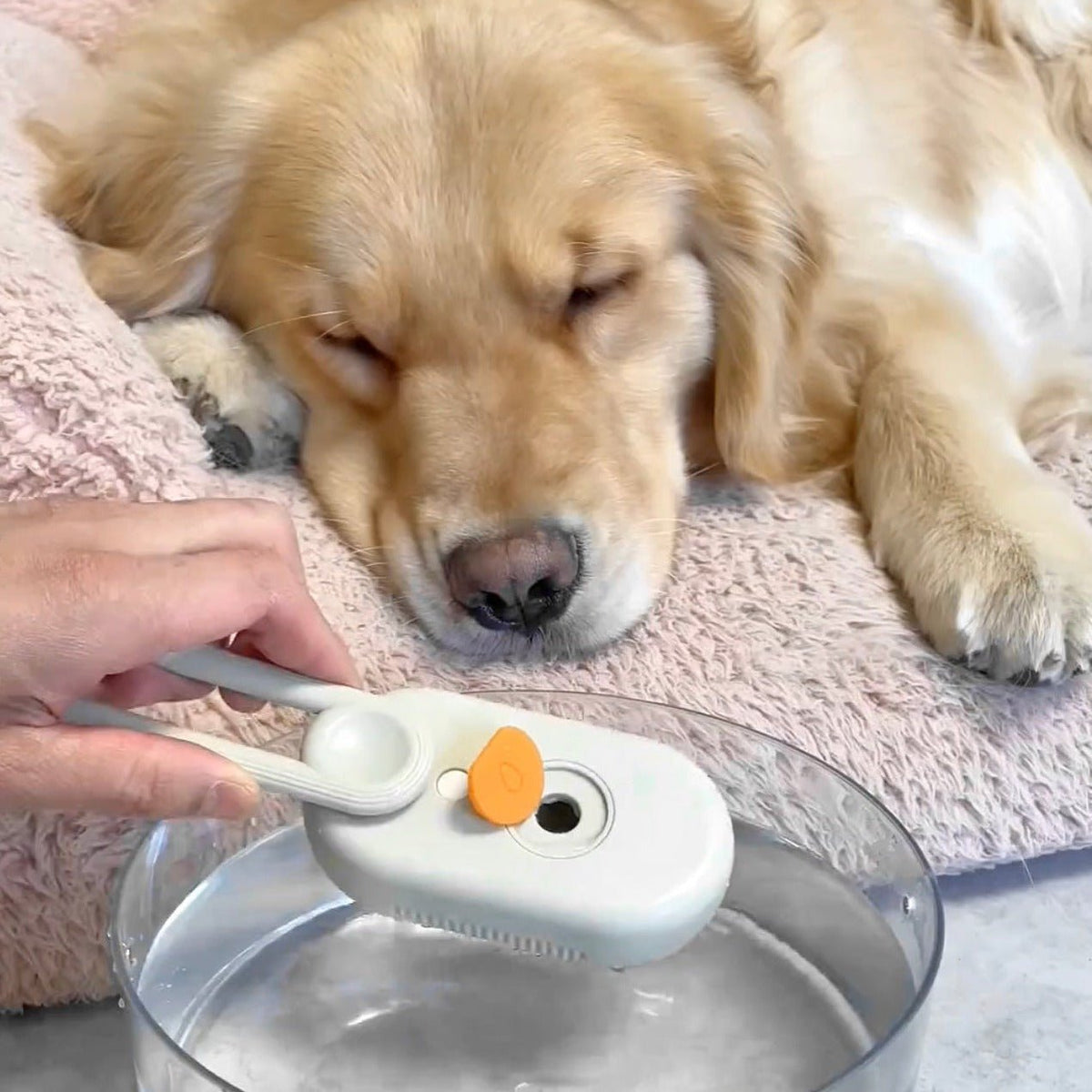 3-in-1 Pet Water Brush | Grooming, Massage & De-Shedding Tool for Dogs and Cats