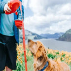 4-in-1 Retractable Dog Leash | Built-in Water Bottle, Food Bowl & Poop Bag Holder