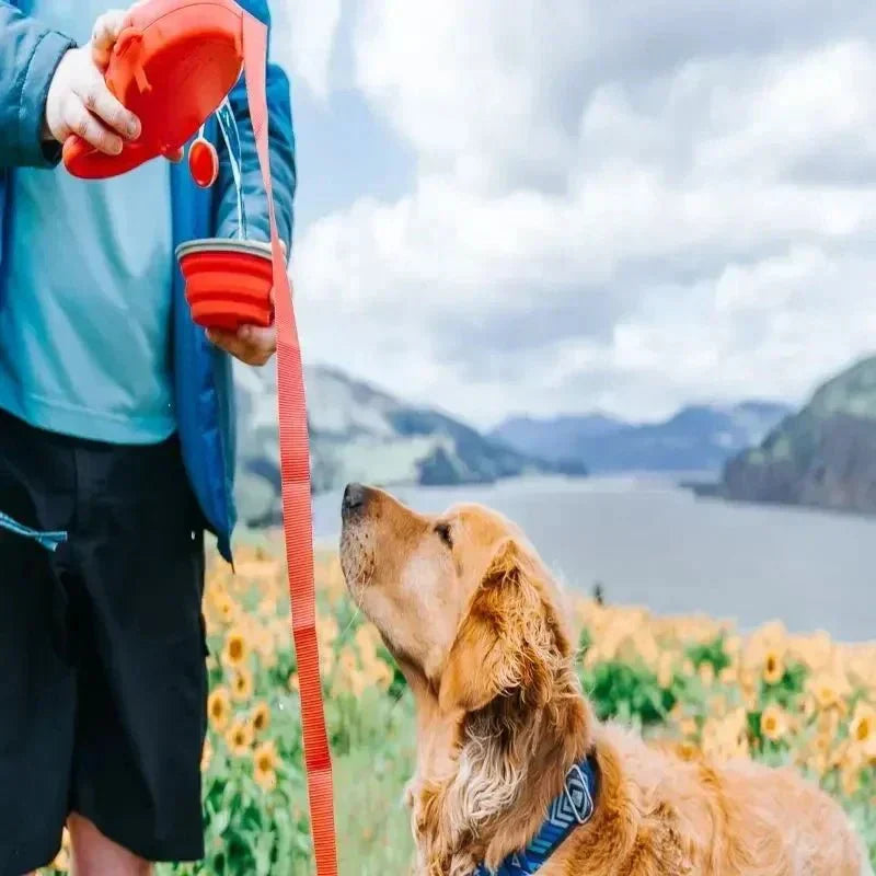 4-in-1 Retractable Dog Leash | Built-in Water Bottle, Food Bowl & Poop Bag Holder