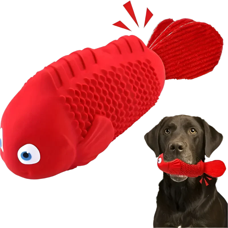 Clown fish Toy | Dog Chew Toy – Durable Squeaky Fun