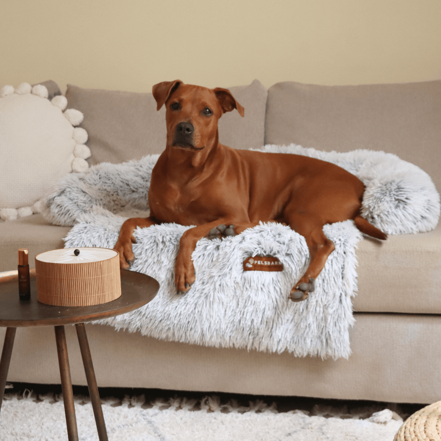Calming Couch Bed | Dog Sofa Protector – Deep Rest & Calming Bed