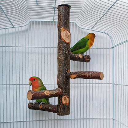 Parrot Wooden Stand & Pole Toy for Birds