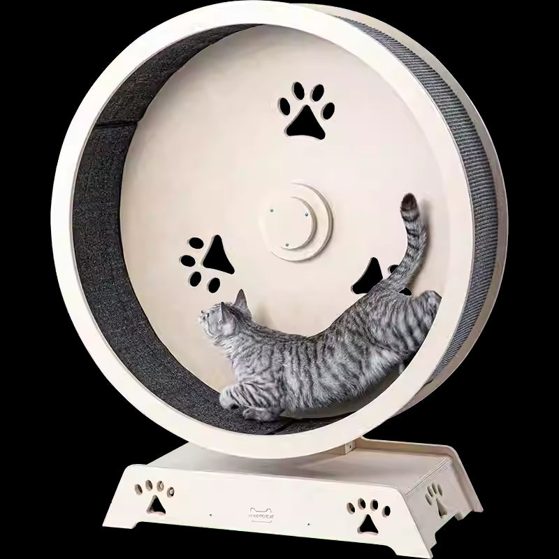 Cat Treadmill – Interactive Exercise Wheel for Indoor Cats