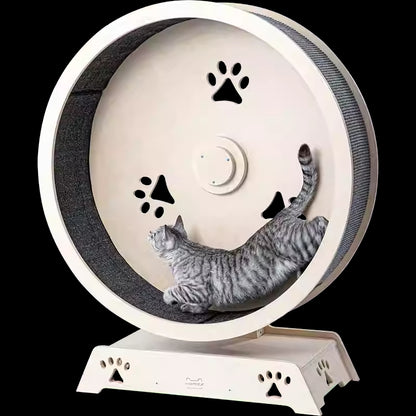 Cat Treadmill – Interactive Exercise Wheel for Indoor Cats