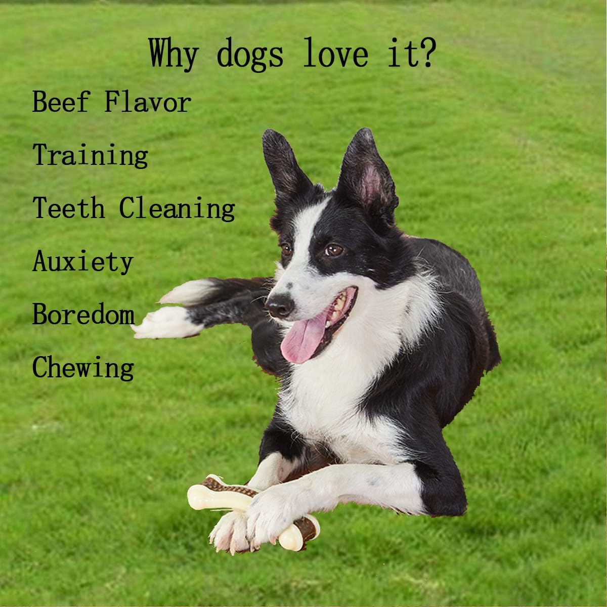 Dog Chew Bone | Durable Nylon Toy – Aggressive Chewer Dental Care