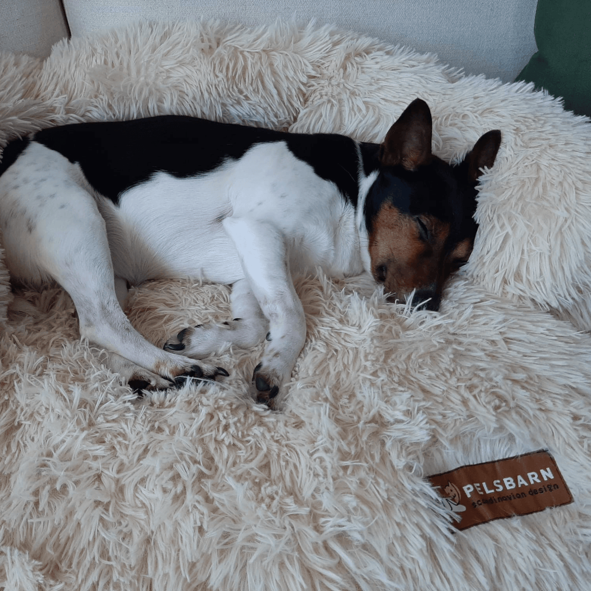 Calming Couch Bed | Dog Sofa Protector – Deep Rest & Calming Bed