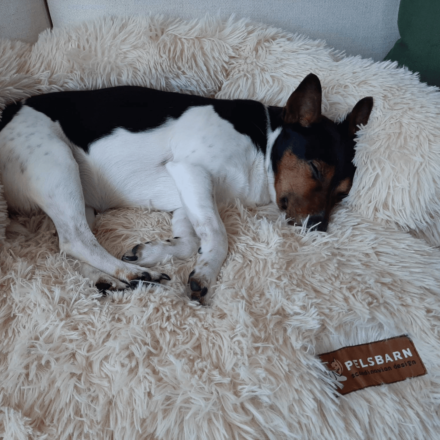 Calming Couch Bed | Dog Sofa Protector – Deep Rest & Calming Bed