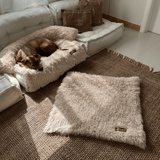Calming Relief Blanket | Dog Blanket – Soothing Comfort & Perfect for snuggling
