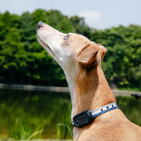 Smart GPS Tracker
