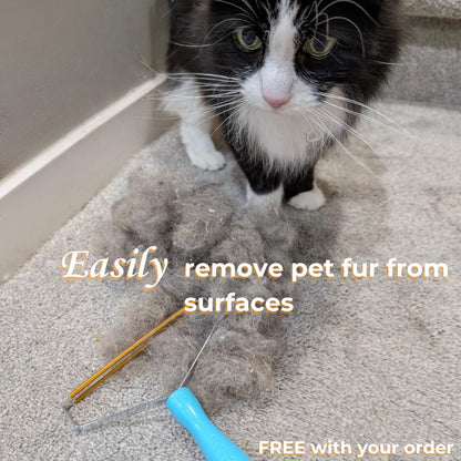 Cat Grooming Kit - Quiet Cordless Pet Trimmer for Gentle, Hassle-Free Grooming
