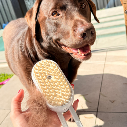 3-in-1 Dog Steam Brush | Gentle Grooming & Deshedding Care