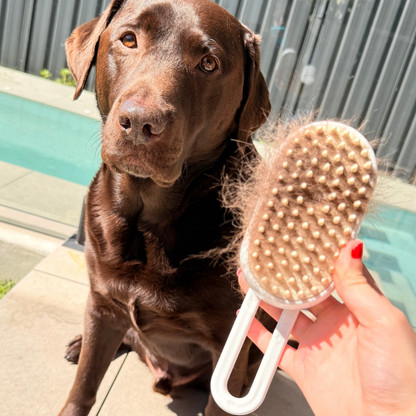 3-in-1 Dog Steam Brush | Gentle Grooming & Deshedding Care