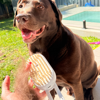 3-in-1 Dog Steam Brush | Gentle Grooming & Deshedding Care