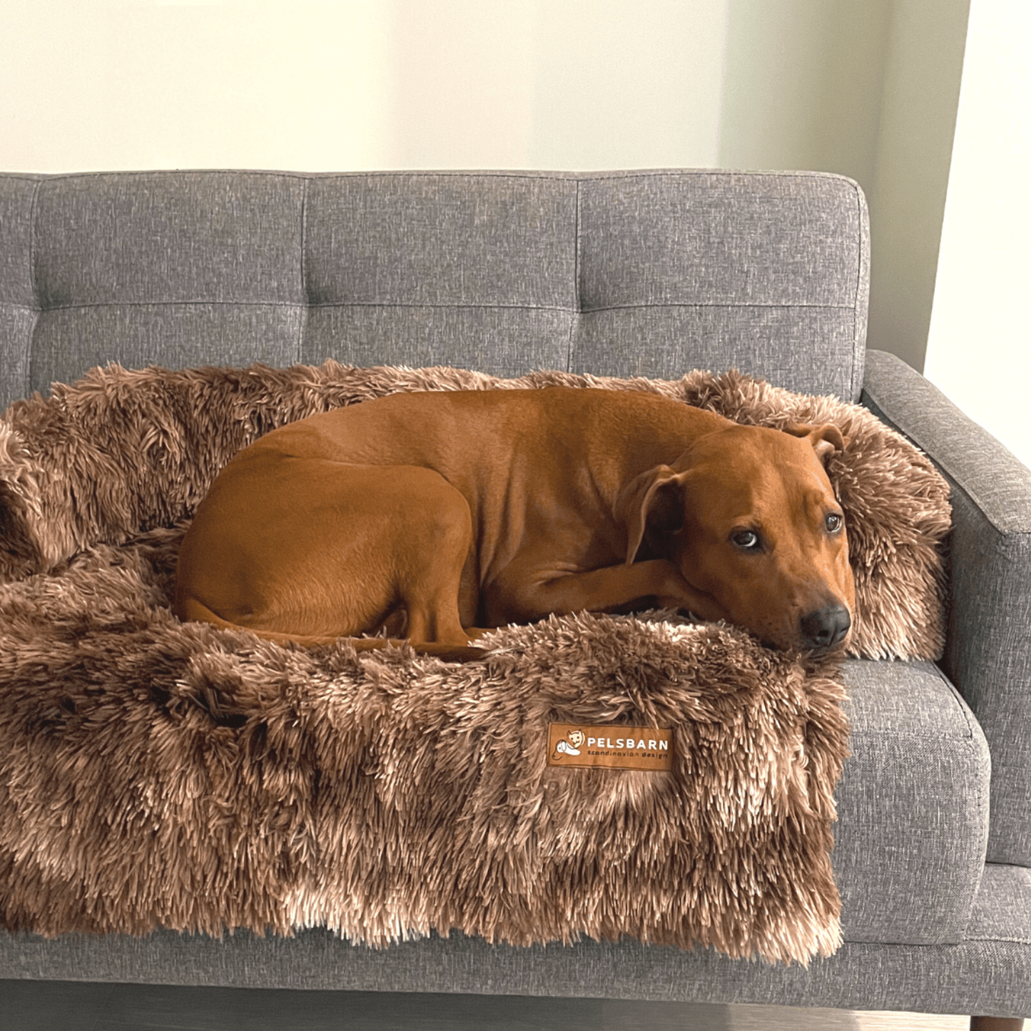 Calming Couch Bed | Dog Sofa Protector – Deep Rest & Calming Bed