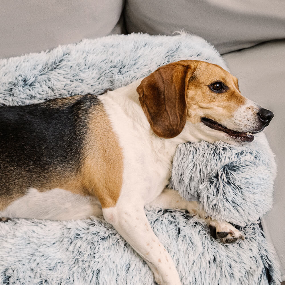 Calming Furniture Protector Dog Bed with Plush Fuzzy Backrest