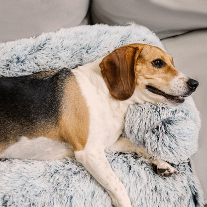 Calming Furniture Protector Dog Bed with Plush Fuzzy Backrest