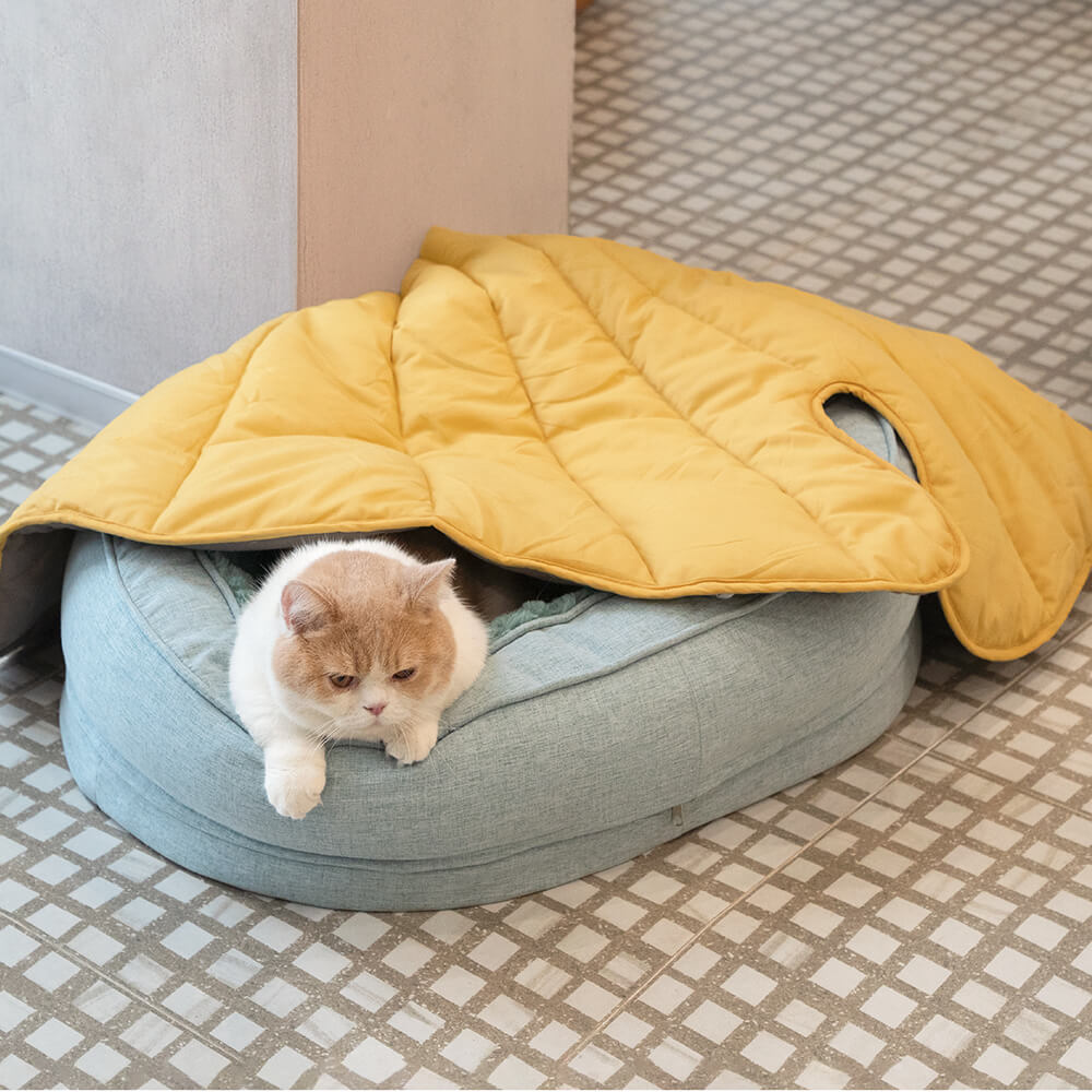 Cozy Donut Orthopedic Dog Bed for Ultimate Comfort and Support