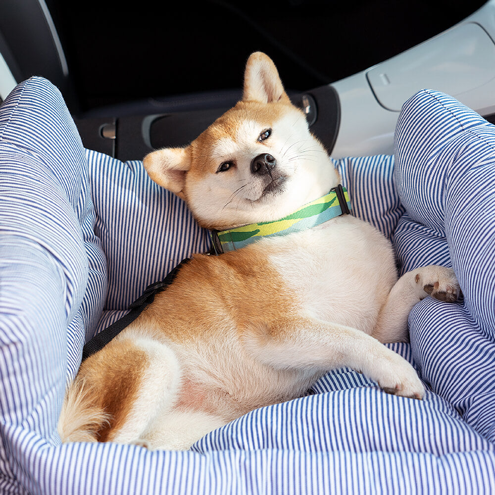 Dog Car Seat Bed | Portable Travel Safety Booster for Small & Medium Dogs