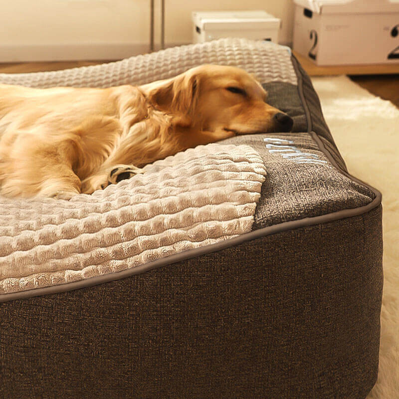 Large Thick Scratch-Resistant Dog Bed with Spine-Support Cushion