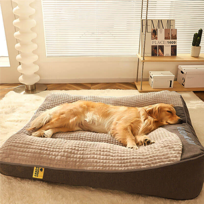 Large Thick Scratch-Resistant Dog Bed with Spine-Support Cushion