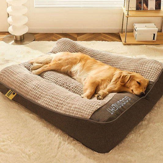 Large Thick Scratch-Resistant Dog Bed with Spine-Support Cushion