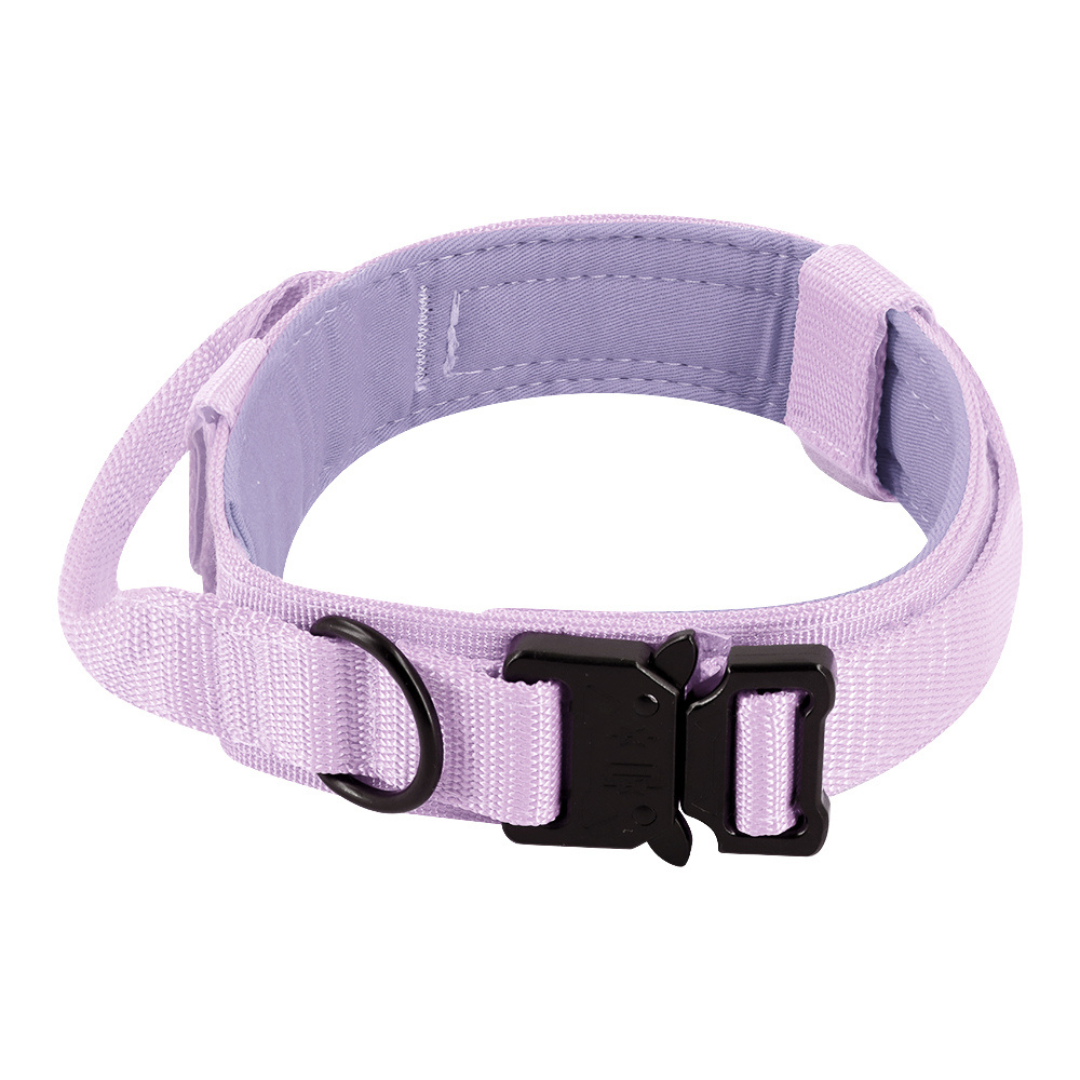 Rugged Padded Nylon Tactical Dog Collar for Better Control