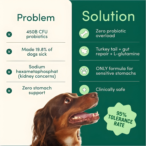 Dog Dental Powder | Breath Buddy  – Fresh Breath & Whiter Teeth