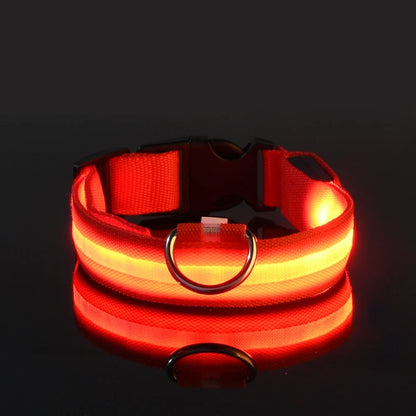 Ultra-Bright LED Night Safety Dog Collar