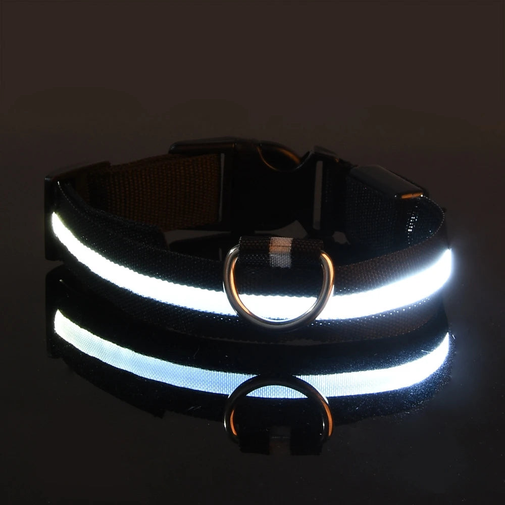 Ultra-Bright LED Night Safety Dog Collar