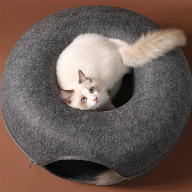 White cat climbing out of a felt tunnel cat bed