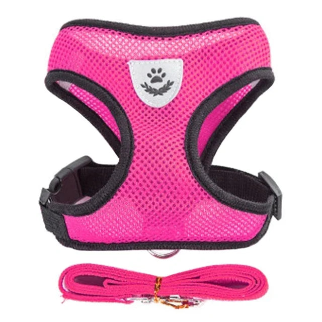 Adjustable Mesh Cat & Small Dog Harness Vest with Walking Leash