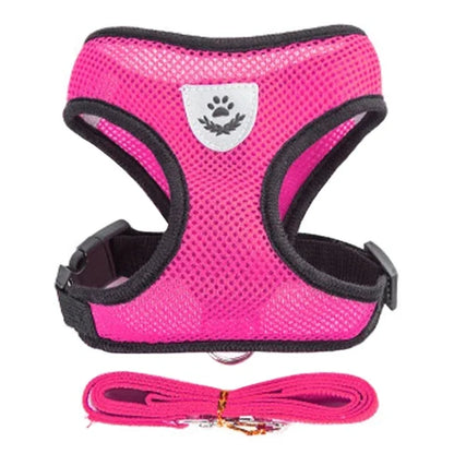 Adjustable Mesh Cat & Small Dog Harness Vest with Walking Leash